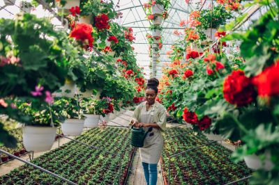 Greenhouse Installation
