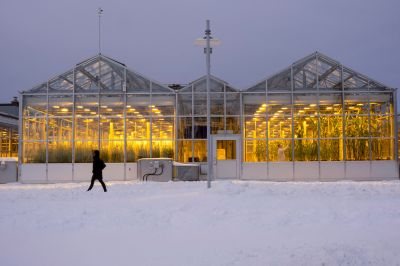 Greenhouse Interior