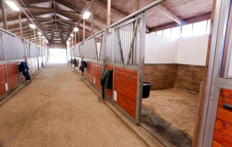 Horse Shelter Construction in Conroe, TX