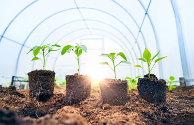 Glass and Panel Suppliers