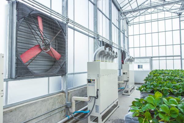 Indoor Greenhouse Building